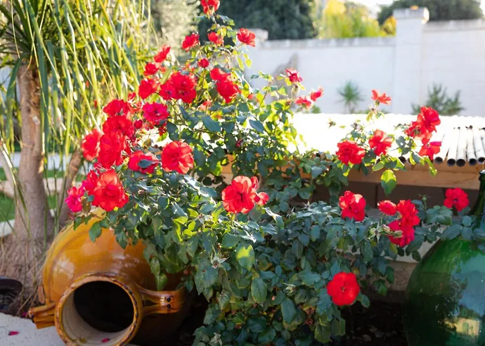 Luis Maison d'hôtes 4*