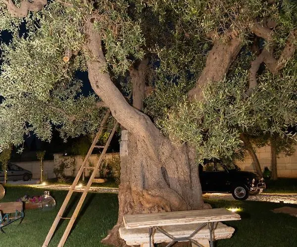 Luis 4* פאסאנו